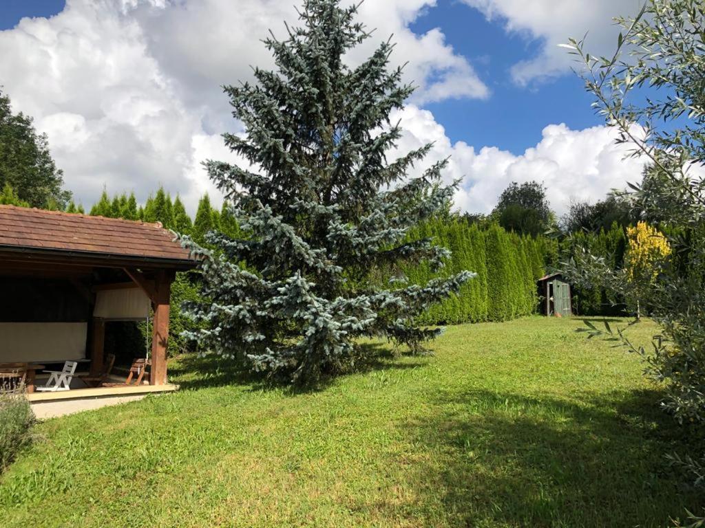 Maison/Gite Familial Dans Le Jura A 200M Du Lac Avec Piscine Privee Marigny  エクステリア 写真