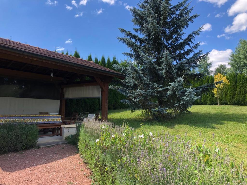 Maison/Gite Familial Dans Le Jura A 200M Du Lac Avec Piscine Privee Marigny  エクステリア 写真