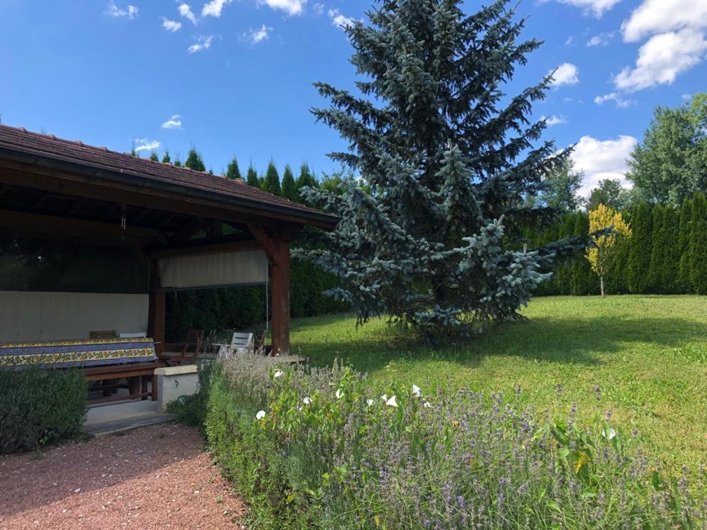 Maison/Gite Familial Dans Le Jura A 200M Du Lac Avec Piscine Privee Marigny  エクステリア 写真