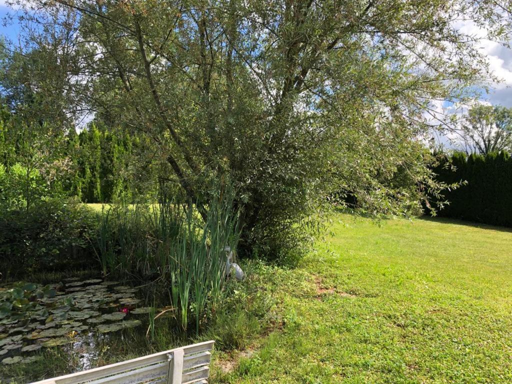 Maison/Gite Familial Dans Le Jura A 200M Du Lac Avec Piscine Privee Marigny  エクステリア 写真