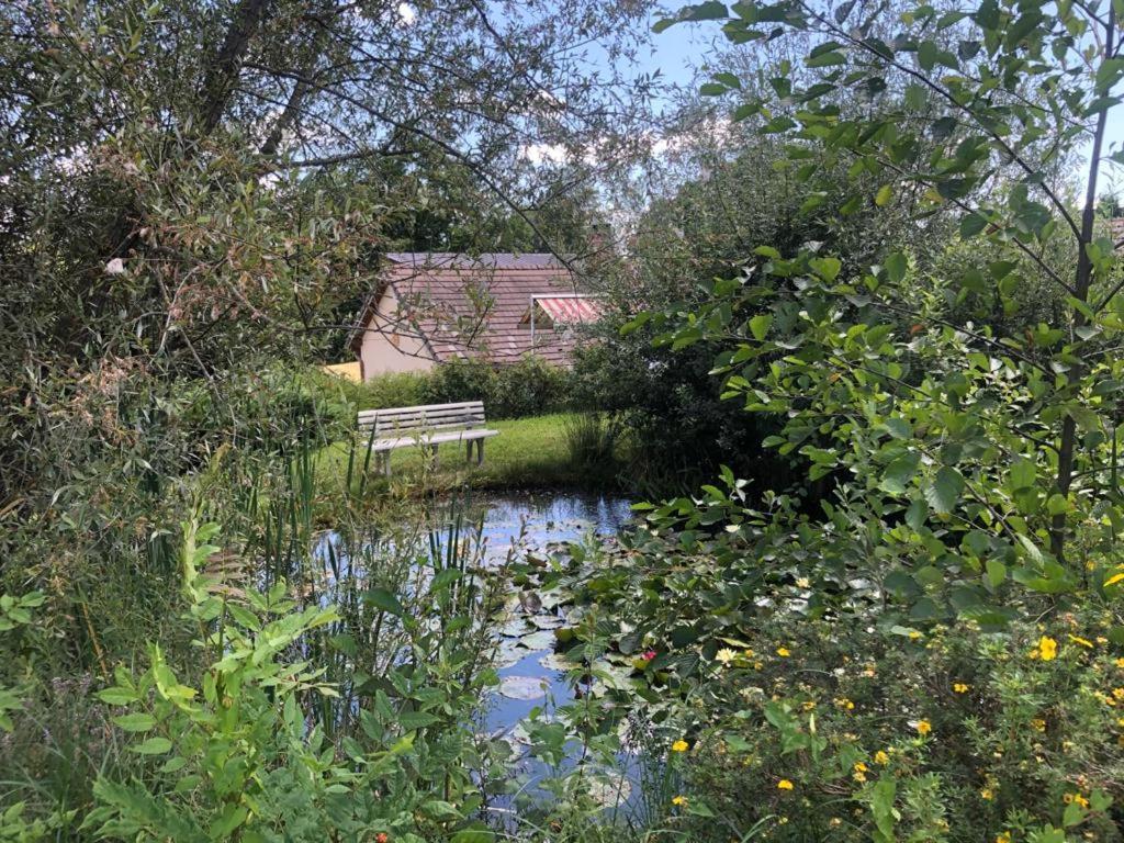 Maison/Gite Familial Dans Le Jura A 200M Du Lac Avec Piscine Privee Marigny  エクステリア 写真